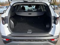Used Hyundai Tucson Premium 230 HP (169 kW) 2024 SUV