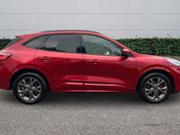 Used Ford Kuga ST-Line 2024 Red SUV