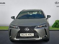 Used Lexus UX 300h 199 HP (146 kW) 2026 SUV