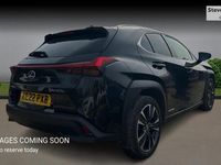 Used Lexus UX 250h 184 HP (135 kW) 2024 SUV