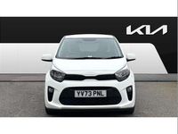 Used Kia Picanto 65 HP (47 kW) 2024 White Hatchback
