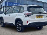 New Subaru Forester 136 HP (100 kW) 2025 SUV