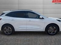 Used Ford Kuga ST-Line 242 HP (177 kW) 2025 SUV