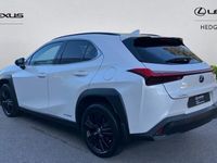 Used Lexus UX 250h 184 HP (135 kW) 2024 SUV