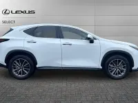Used Lexus NX350h 197 HP (144 kW) 2026 White SUV