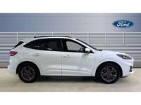 Used Ford Kuga ST-Line 190 HP (139 kW) 2023 White SUV