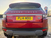 Used Land Rover Range Rover evoque Pure 2014 Red Estate