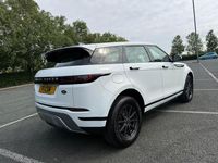 Used Land Rover Range Rover evoque S 150 HP (110 kW) 2020 White SUV