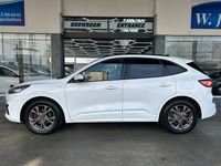 Used Ford Kuga ST-Line 120 HP (88 kW) 2020 White SUV