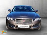 Used Jaguar XF Portfolio 180 HP (132 kW) 2016 Bronze Sedan