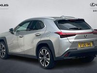 Usado Lexus UX 250h 184 CV (135 kW) 2024 SUV