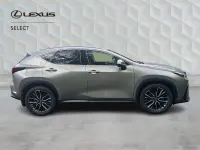 Used Lexus NX450h+ 301 HP (221 kW) 2023 Silver SUV