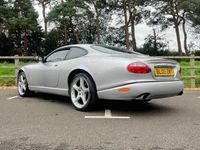 used Jaguar XK8 4.2 292 BHP // px swap Coupe