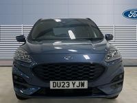 Used Ford Kuga ST-Line X 150 HP (110 kW) 2023 Blue SUV