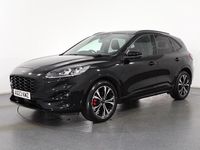 Used Ford Kuga ST-Line X 2023 Black SUV