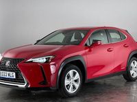 Used Lexus UX 250h 184 HP (135 kW) 2024 SUV
