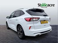 Used Ford Kuga ST-Line 221 HP (162 kW) 2023 Silver SUV