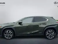 Used Lexus UX 250h 184 HP (135 kW) 2024 SUV