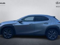 Used Lexus UX 250h Sport Design Packet 184 HP (135 kW) 2024 SUV