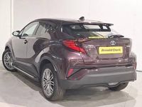 Used Toyota C-HR 122 HP (89 kW) 2022 Purple SUV