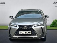 Used Lexus UX 150 kW (204 HP) 2024 SUV