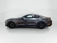 Used Ford Mustang Fastback 290 HP (213 kW) 2019 Grey Coupe