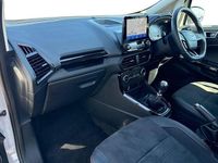 Used Ford Ecosport ST-Line 125 HP (91 kW) 2023 Grey SUV