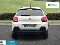 Used Citroën C3 Shine 99 HP (72 kW) 2023 Brown Hatchback