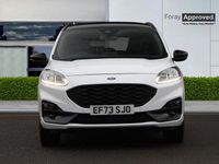 Używany Ford Kuga 2023 Biały SUV