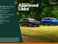 Used Skoda Fabia SE 55 HP (40 kW) 2019 Red Hatchback