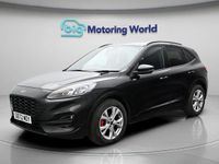 Used Ford Kuga ST-Line 148 HP (108 kW) 2023 SUV