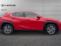 Used Lexus UX 150 kW (204 HP) 2025 Fuji red SUV