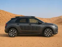 Gebraucht Citroën C4 Cactus Flair 100 PS (73 kW) 2018 Grau Kleinwagen
