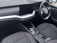 Używany Skoda Octavia 2025 Kombi