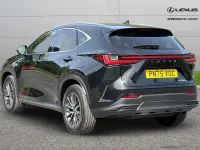 Used Lexus NX350h 240 HP (176 kW) 2025 Black SUV