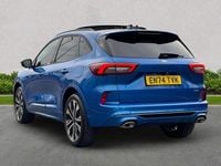 Used Ford Kuga ST-Line X 243 HP (178 kW) 2025 Blue SUV