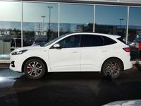 Used Ford Kuga ST-Line 147 HP (108 kW) 2020 White SUV