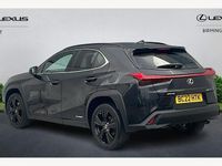 Used Lexus UX 250h 184 HP (135 kW) 2024 SUV