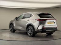 Used Lexus NX450h+ 2023 Silver SUV