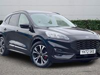 Used Ford Kuga ST-Line X 190 HP (139 kW) 2023 Black SUV