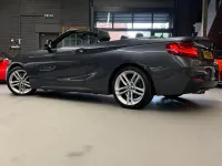 Used BMW 228 M Sport 60 HP (44 kW) 2016 Grey Cabriolet