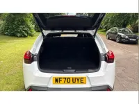 Used Lexus UX 250h Sport Line 180 HP (132 kW) 2020 White SUV