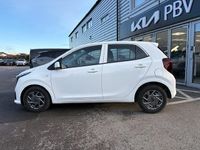 Used Kia Picanto 2024 White Hatchback