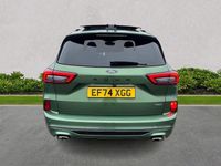 Used Ford Kuga ST-Line X 2024 Green SUV