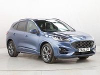 Used Ford Kuga ST-Line 150 HP (110 kW) 2022 Blue SUV
