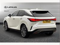 Used Lexus RX450h+ 309 HP (227 kW) 2024 White SUV