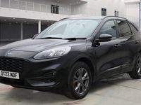 Used Ford Kuga ST-Line 225 HP (165 kW) 2023 SUV