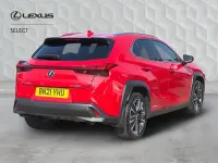 Used Lexus UX 250h 2021 Red SUV