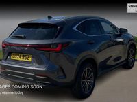 Used Lexus NX450h+ 2024 Grey SUV