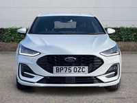 Used Ford Focus ST-Line X 155 HP (114 kW) 2024 Hatchback